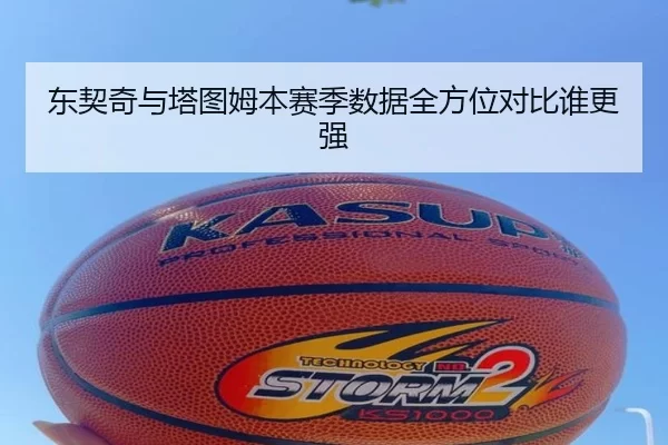 东契奇与塔图姆本赛季数据全方位对比谁更强