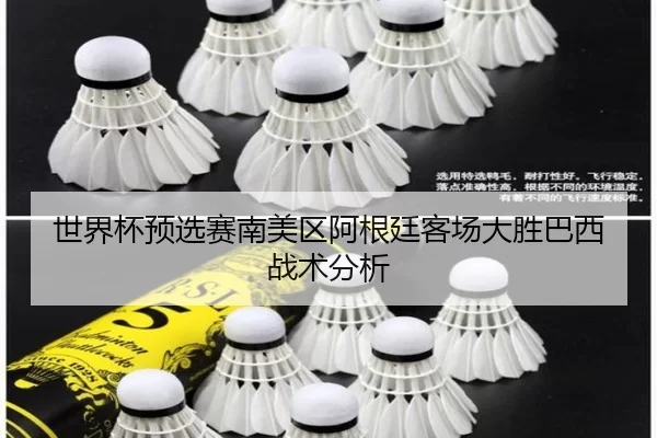 世界杯预选赛南美区阿根廷客场大胜巴西战术分析